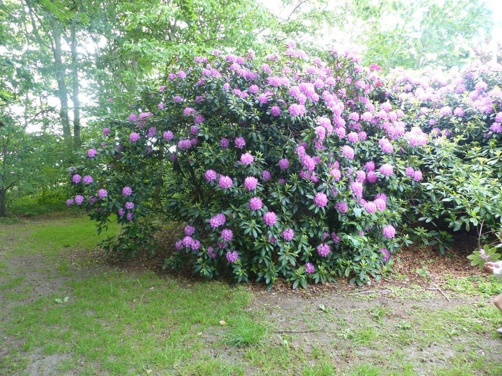 Kristiansminde Farm Holiday Tistrup Esterno foto