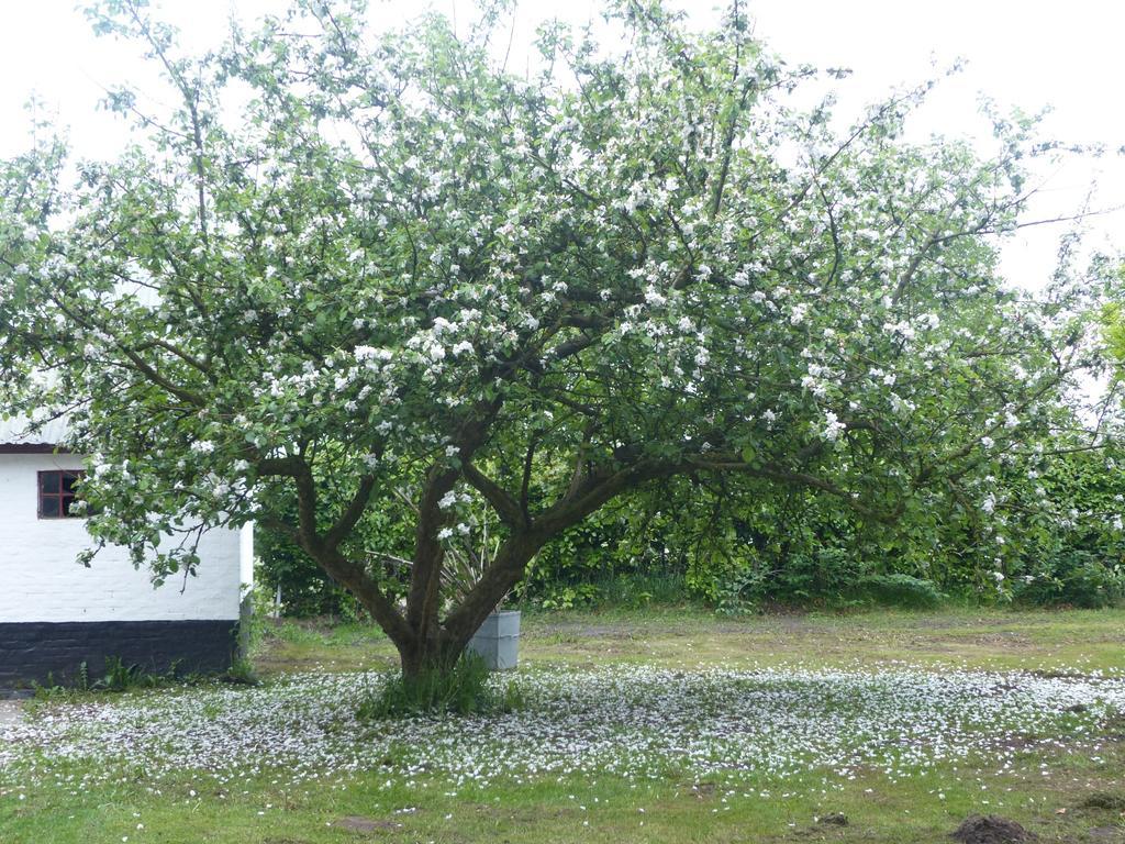 Kristiansminde Farm Holiday Tistrup Esterno foto