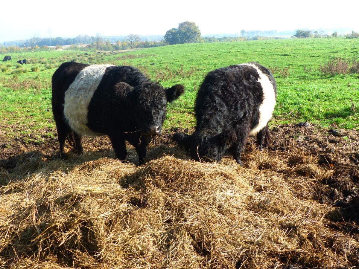 Kristiansminde Farm Holiday Tistrup Esterno foto
